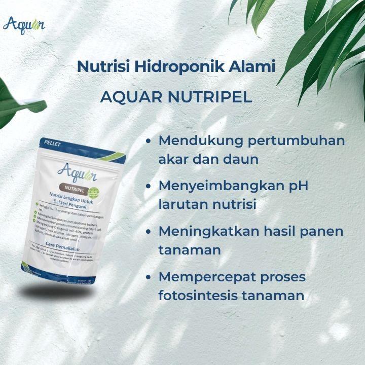 Nutrisi Untuk Hidroponik Alami