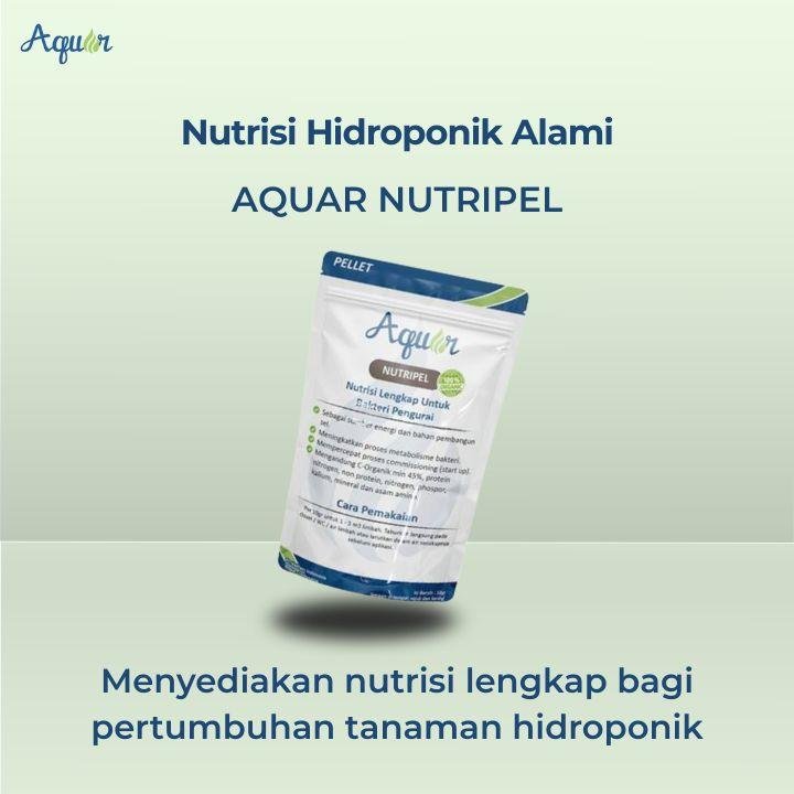 Nutrisi Alami Hidroponik