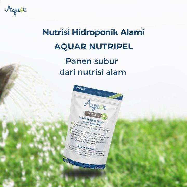Nutrisi Hidroponik Alami