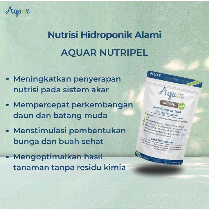 Nutrisi Untuk Tanaman Hidroponik