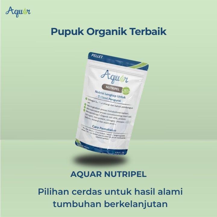 Produk Pupuk Organik Terbaik