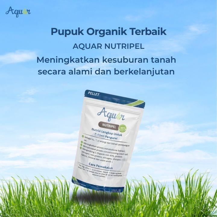 Pupuk Organik Terbaik