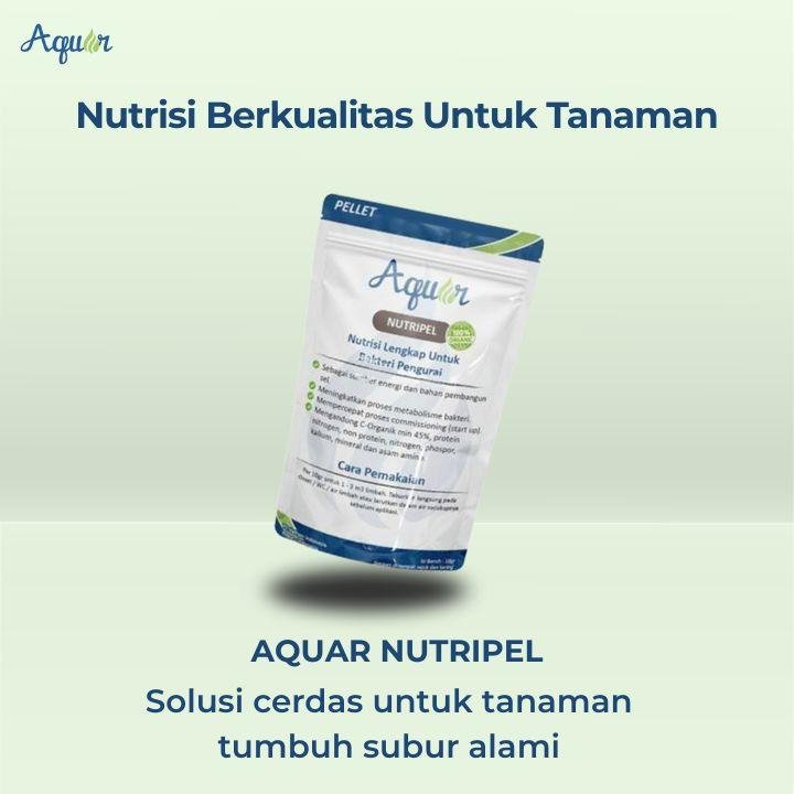 Nutrisi Berkualitas Untuk Tanaman Hijau