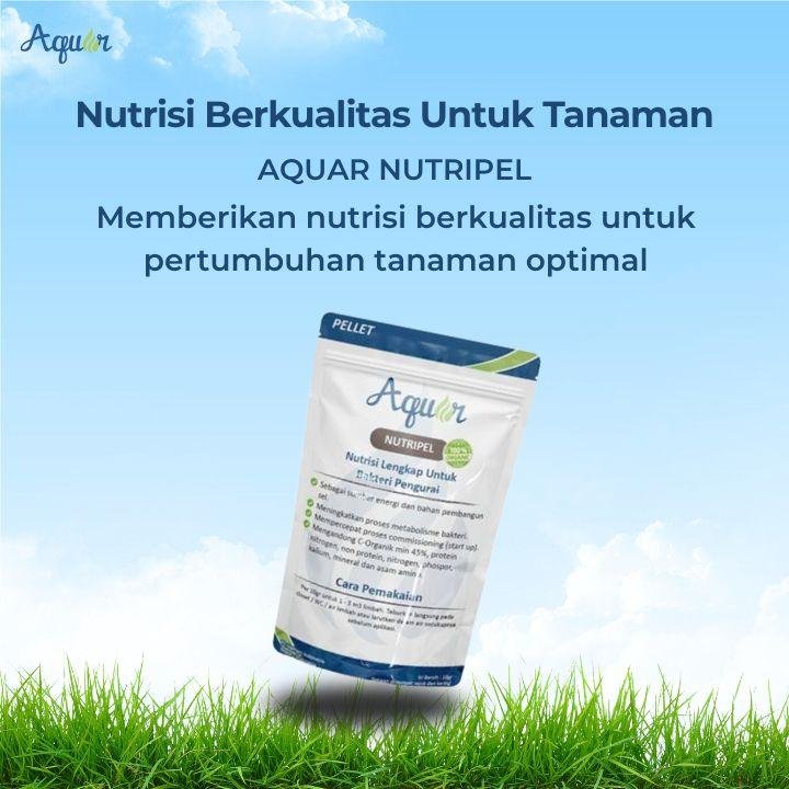 Nutrisi Berkualitas Untuk Tanaman