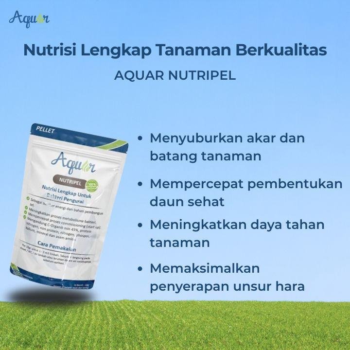 Nutrisi Lengkap Untuk Tanaman Berkualitas