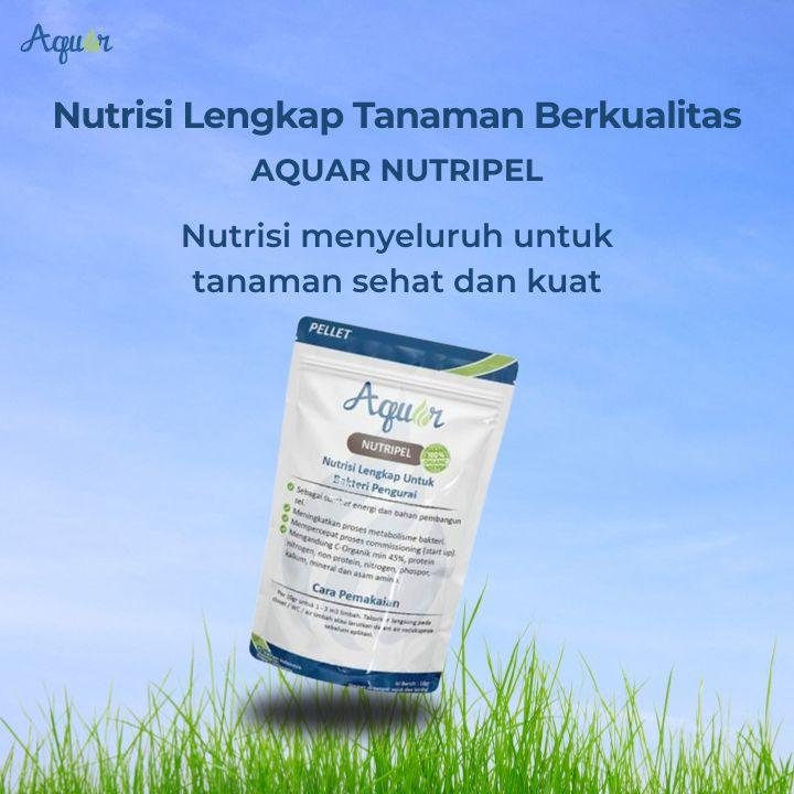 Nutrisi Lengkap Tanaman Berkualitas