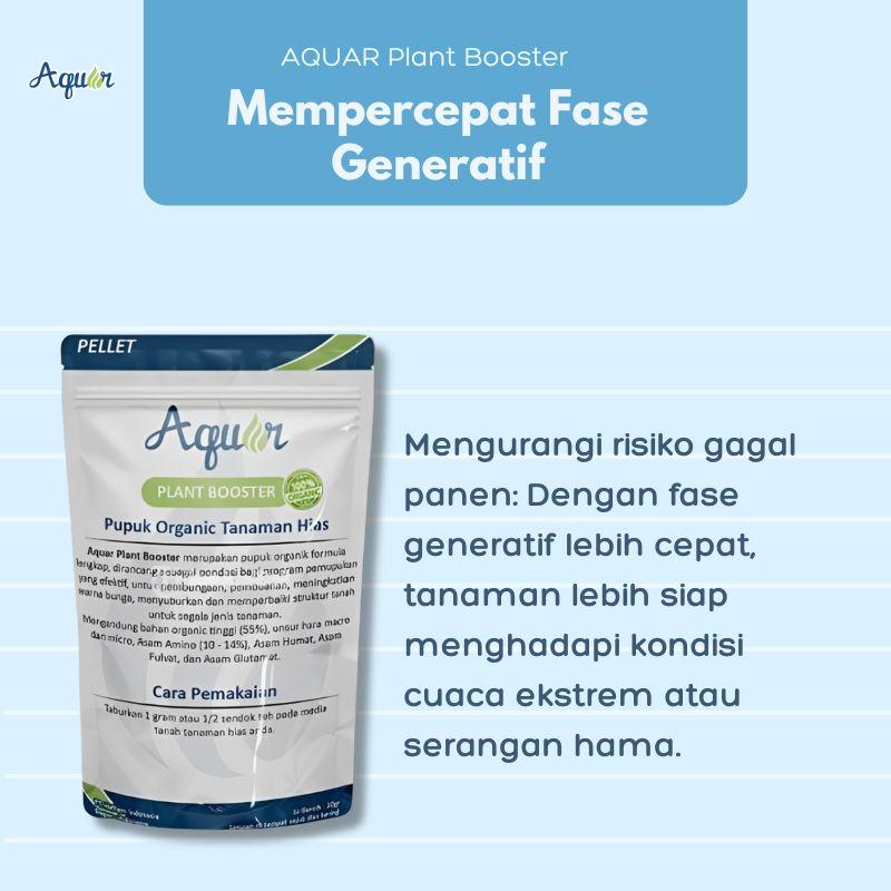 Fase Generatif