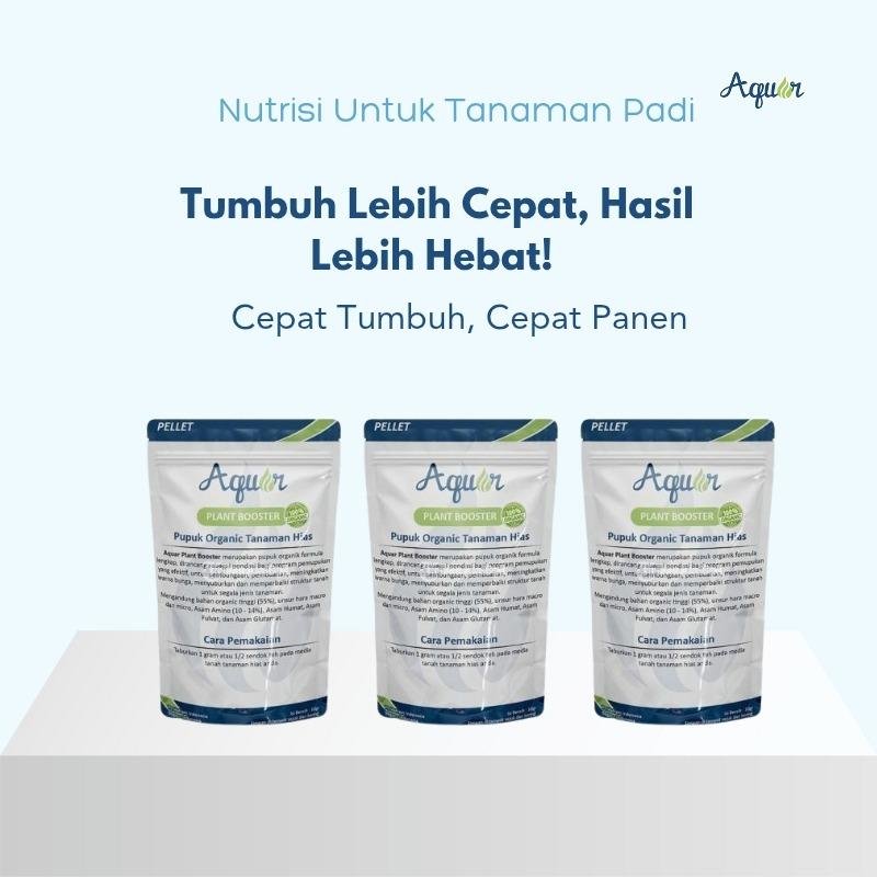 Membantu Percepat Tumbuh Tanaman