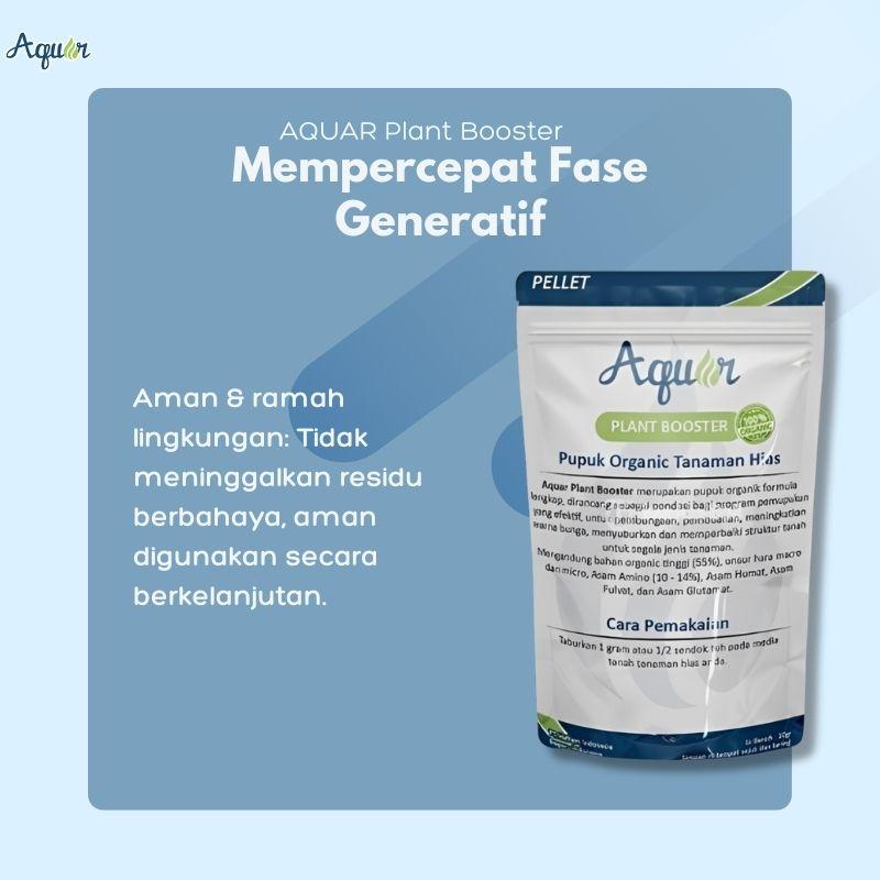 Mempercepat Generatif