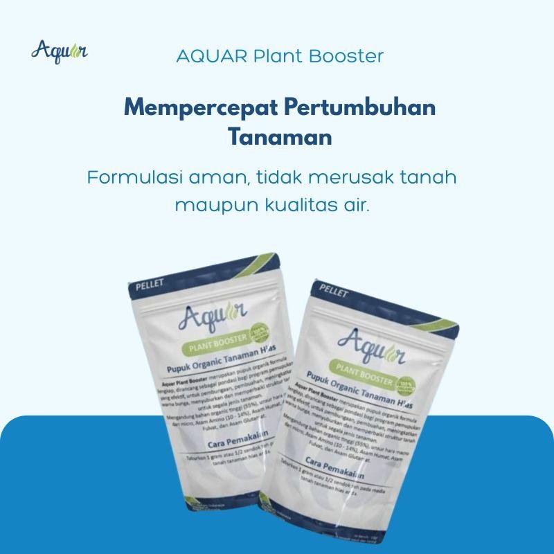 Mempercepat Pertumbuhan Tanaman