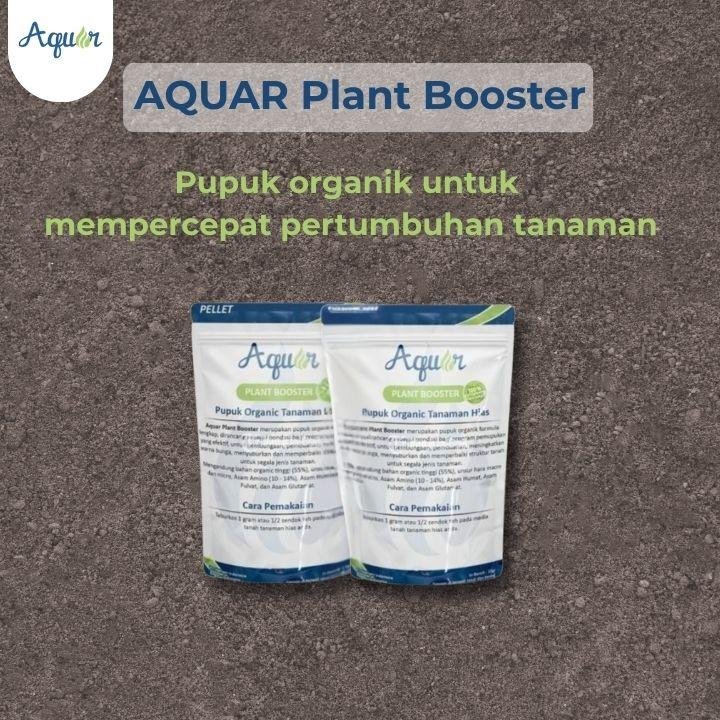 Nutrisi Bagi Tanaman Hias