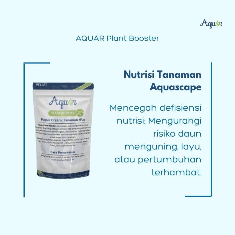 Nutrisi Tanaman Aquascape