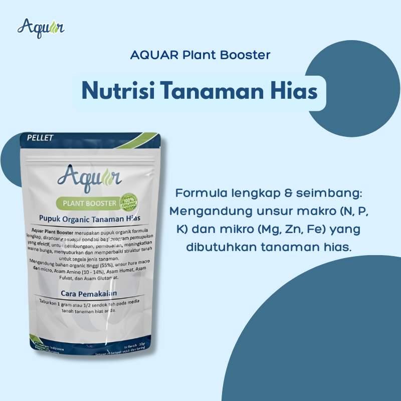 Nutrisi Tanaman Hias-1