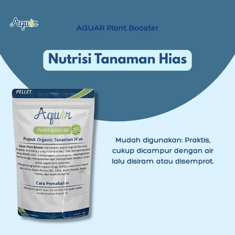Nutrisi Tanaman