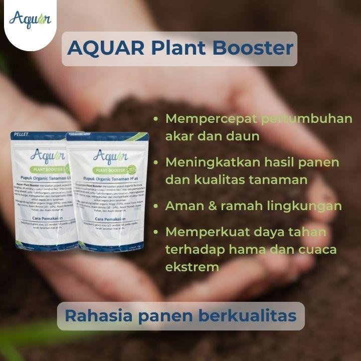 Nutrisi Untuk Tanaman Hias