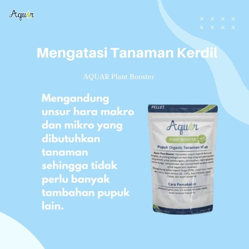 Produk Mengatasi Tanaman Kerdil