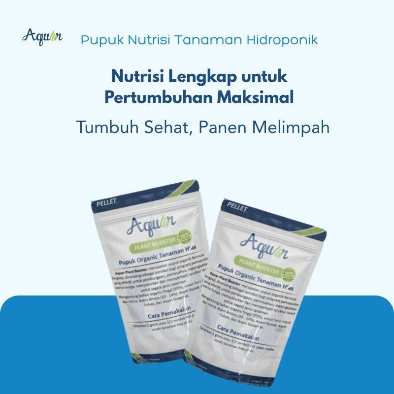Pupuk Nutrisi Tanaman Hidroponik