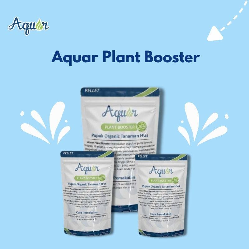 pupuk solusi perkebunan