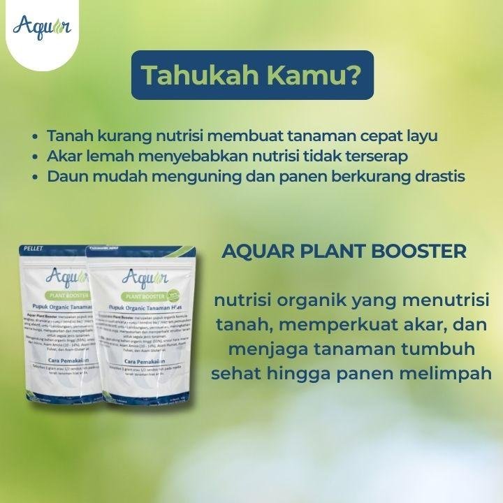 Solusi Jika Tanaman Layu