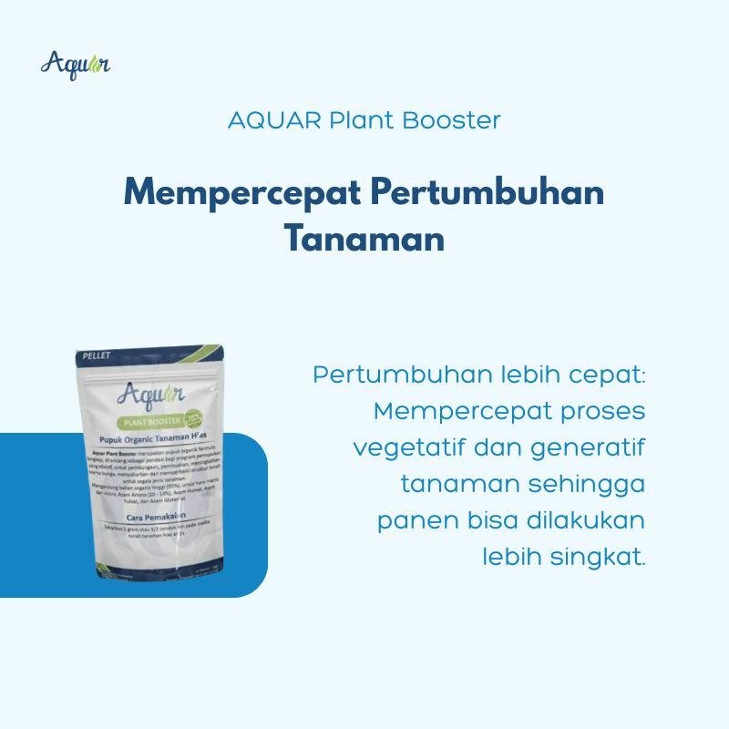 Solusi Mempercepat Pertumbuhan Tanaman