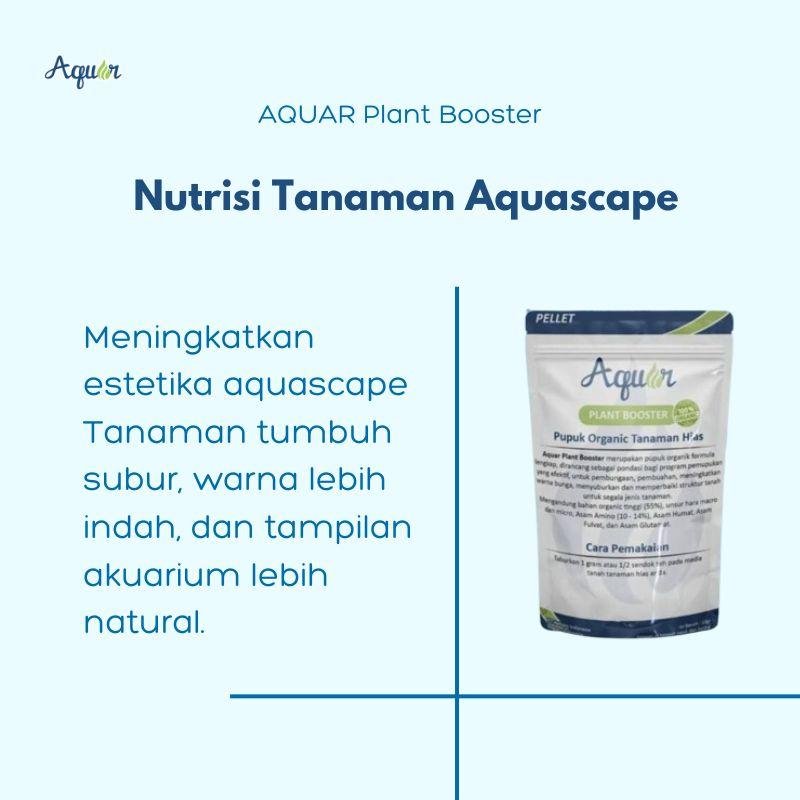 Solusi Nutrisi Tanaman Aquascape