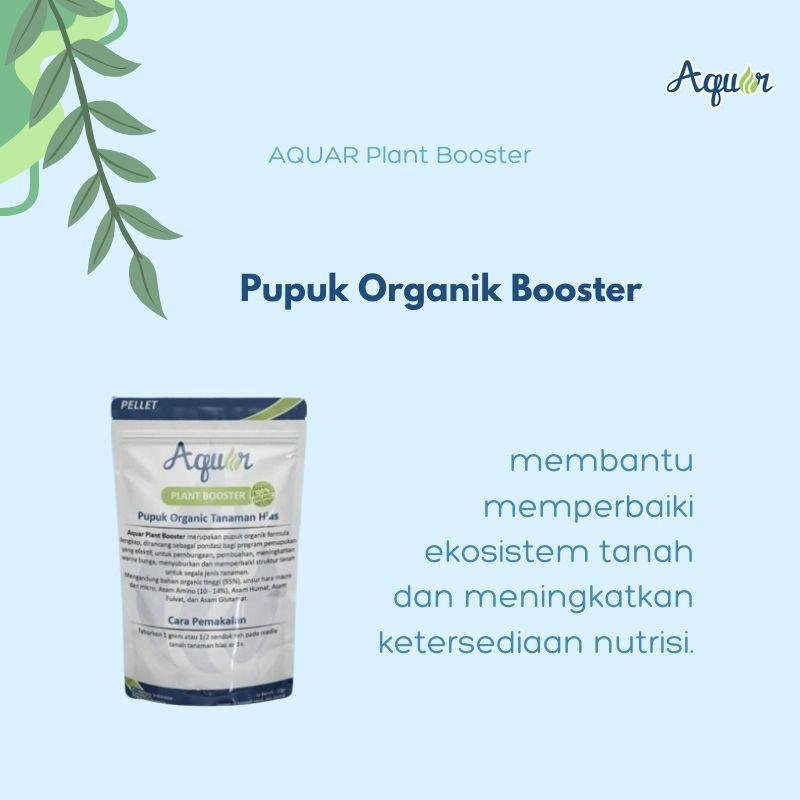 Solusi Pupuk Organik Booster