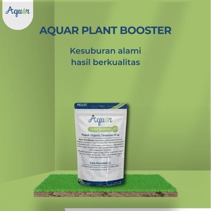 Solusi Untuk Tanaman Layu