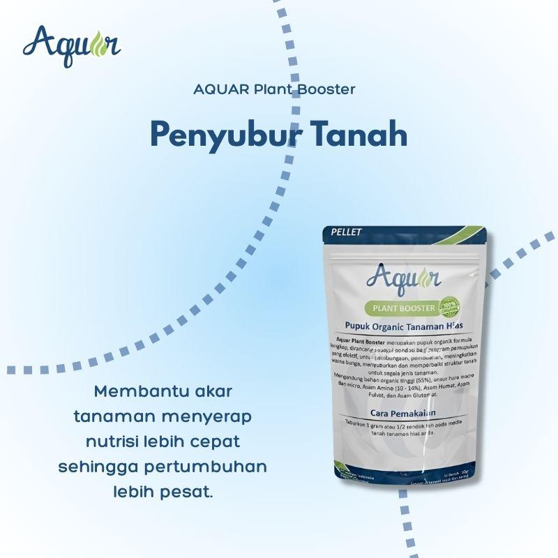 Tanah