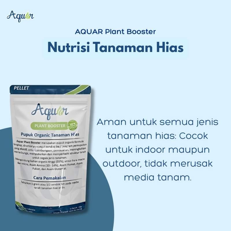 Tanaman Hias