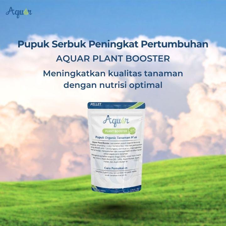 Pupuk Serbuk Peningkat Pertumbuhan