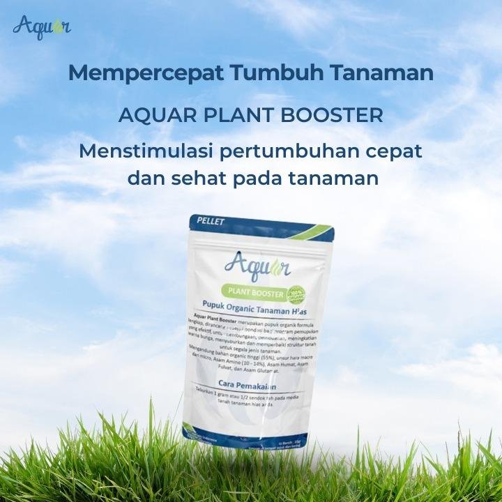 Mempercepat Tumbuh Tanaman