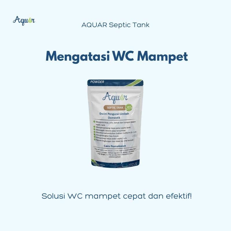 Mengatasi WC Mampet