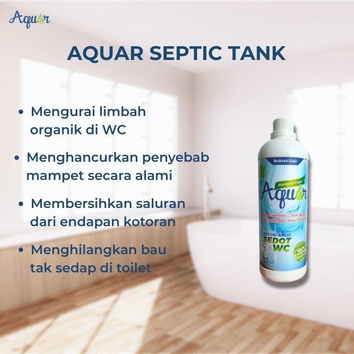 Penghancur Efektif WC Mampet