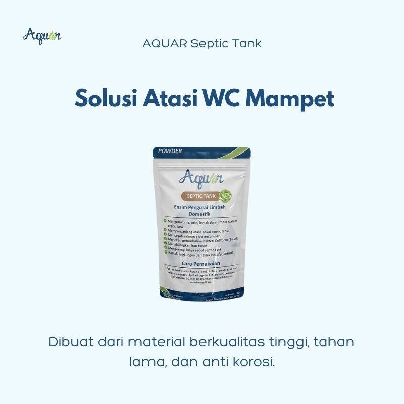 Solusi Atasi WC Mampet