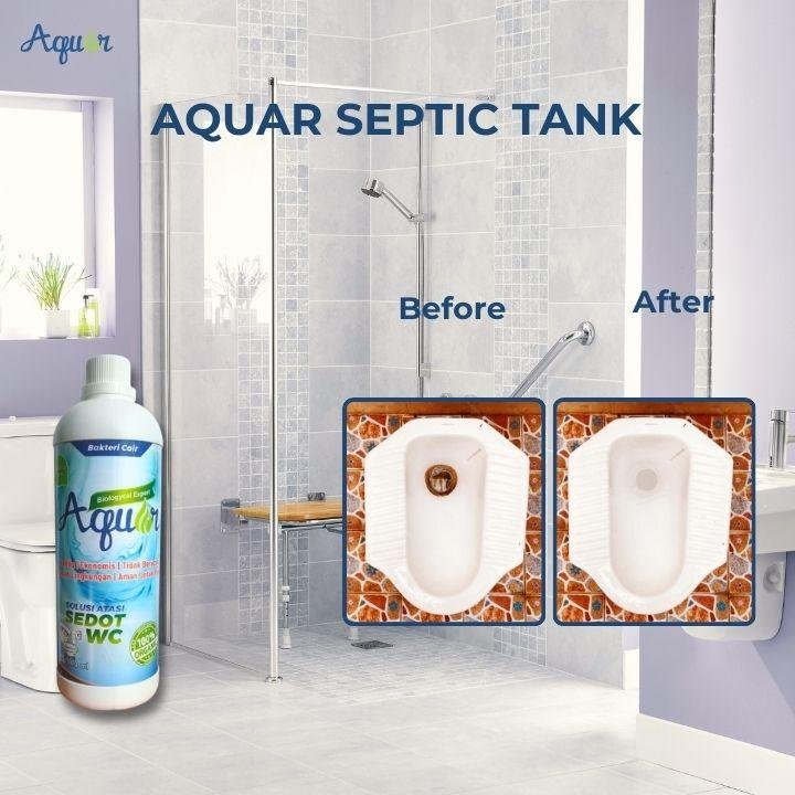 Solusi WC Mampet-1