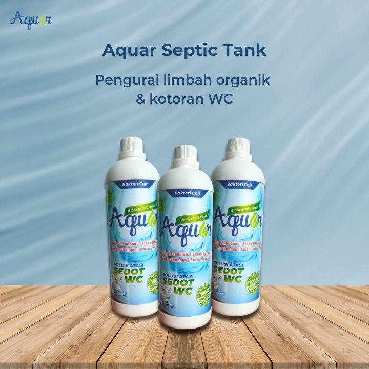 Solusi WC Mampet