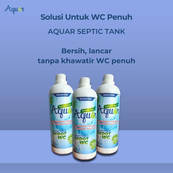 Solusi Untuk WC Mampet