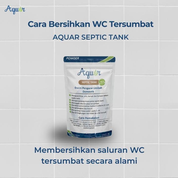 Cara Bersihkan Tersumbat WC