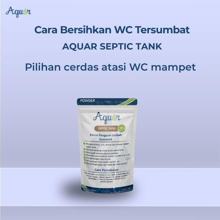 Cara Bersihkan WC Tersumbat