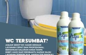 Cairan Anti Sedot WC Penghilang Bau Toilet