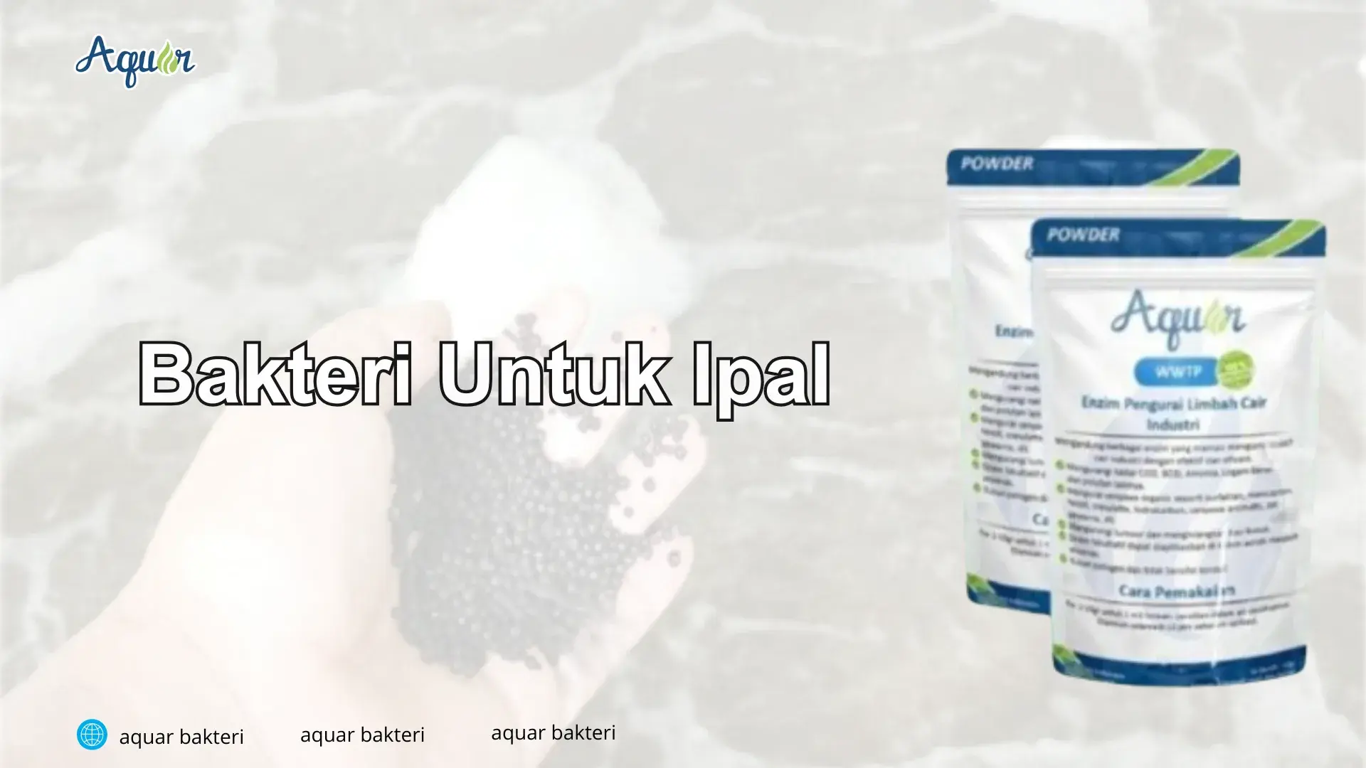 Bakteri Untuk Ipal