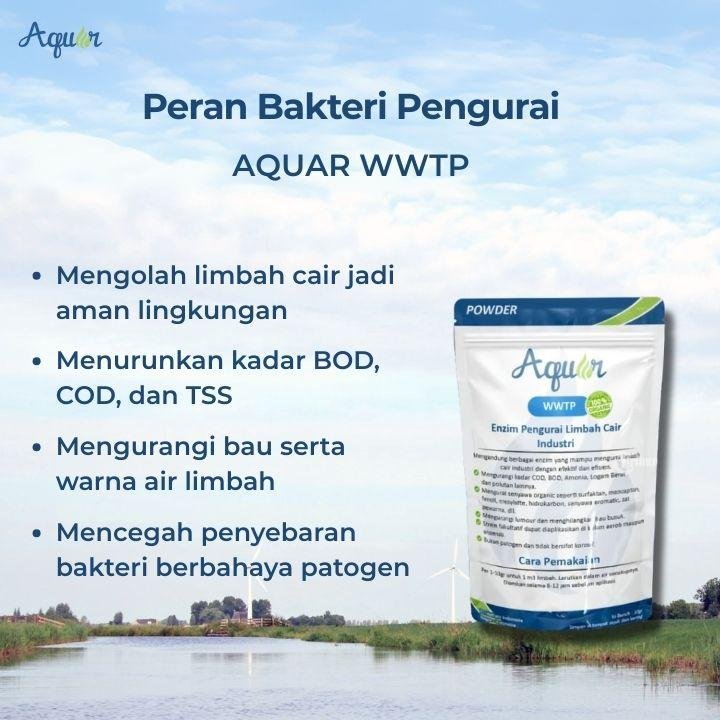 Bakteri Pengurai WWTP