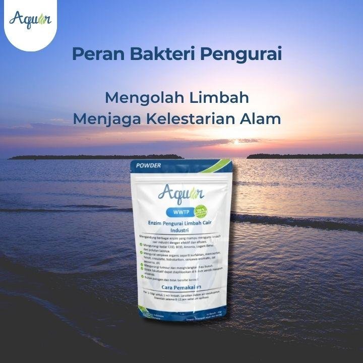 Peran Bakteri Pengurai