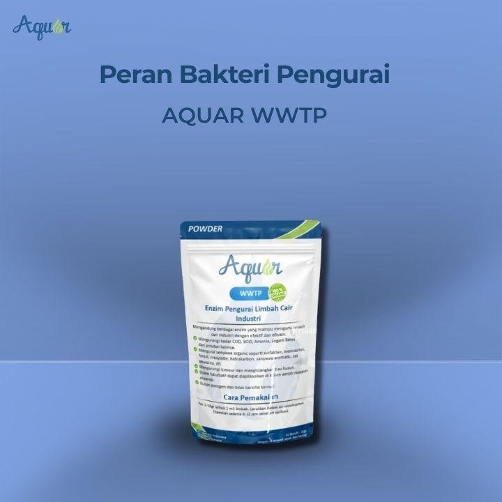 Solusi Untuk Bakteri Pengurai
