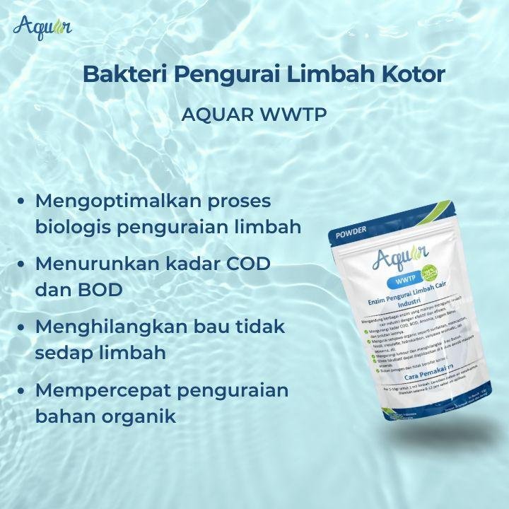 Bakteri Pengurai Limbah Kotor Efektif