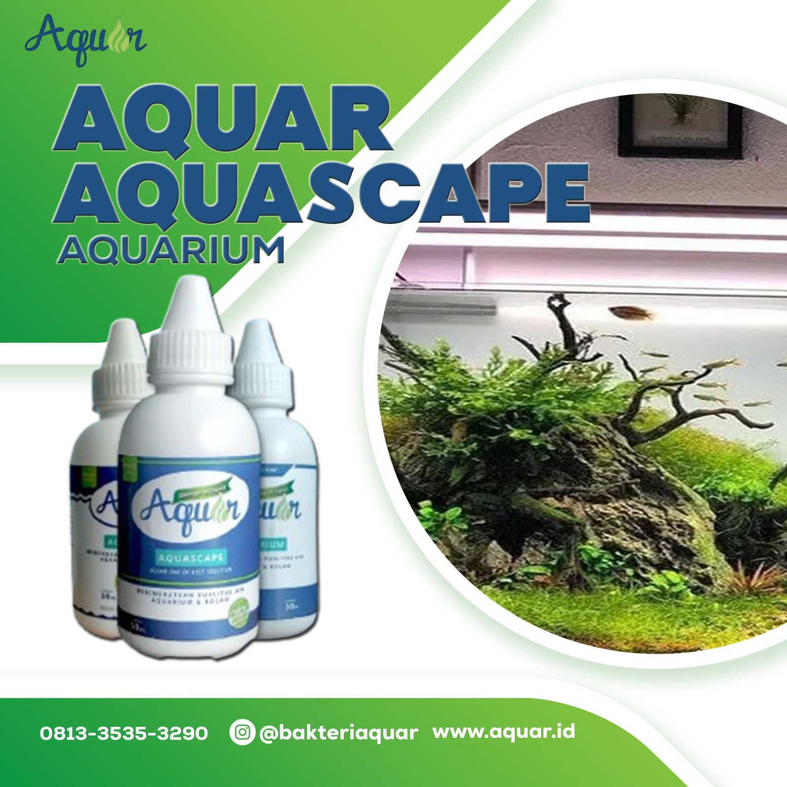 Fungsi Aquar Aquascape Akuarium