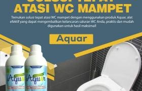Solusi Tepat Atasi Wc Mampet