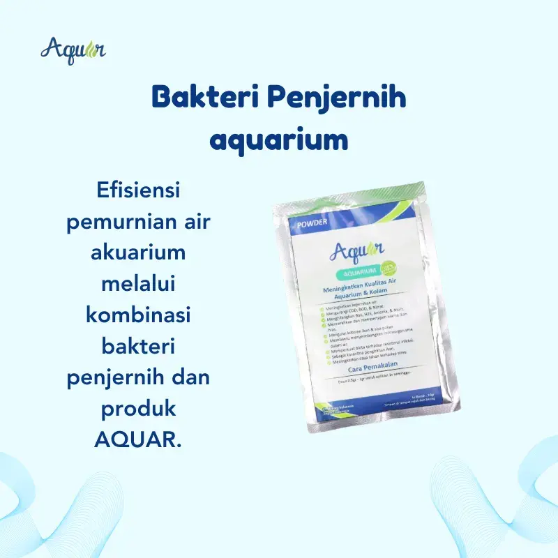 Bakteri Aquarium