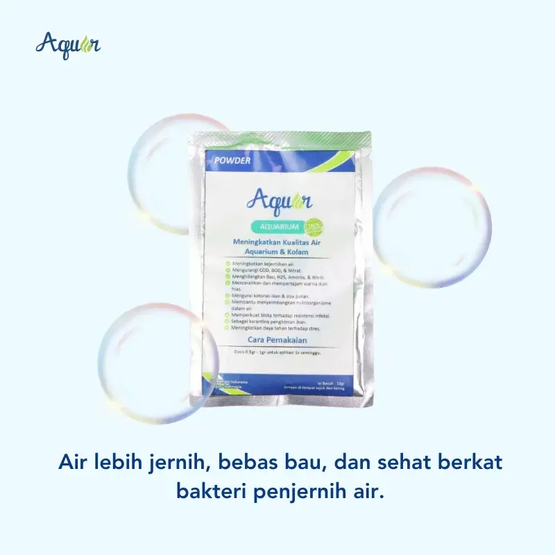 Bakteri Penjernih Air Aquarium