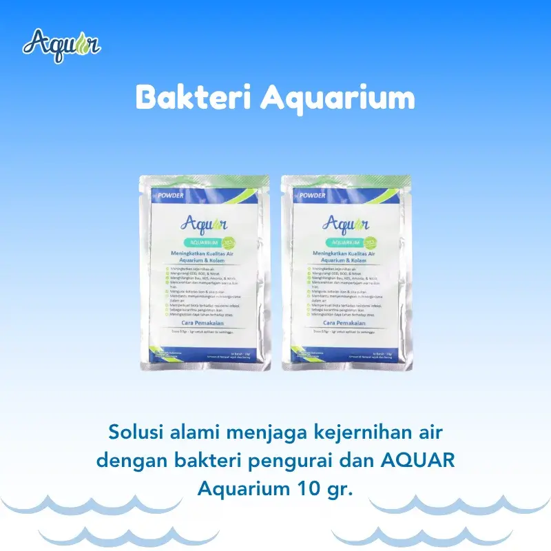 Bakteri Penjernih Air